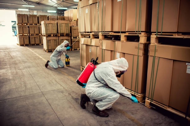 Best Best Pest Control Companies  in Kentland, IN