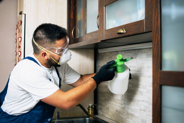 Best Insect Control  in Kentland, IN