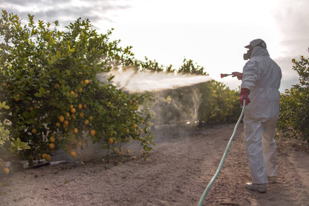 Best Commercial Pest Control Services  in Kentland, IN