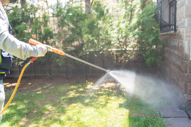 Best Pest Prevention Services  in Kentland, IN