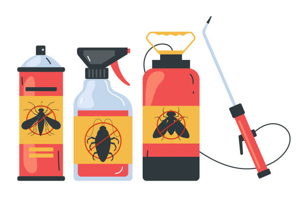 Wasp Removal Services in Kentland, IN