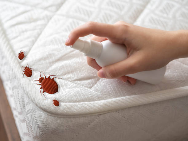 Flea Control Services in Kentland, IN