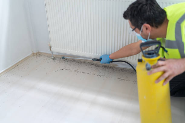 Reliable Kentland, IN Pest Control Solutions